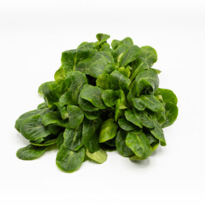 Feldsalat
