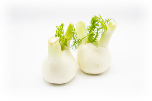 Fenchel