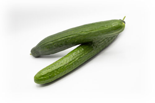 Salatgurken