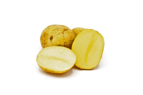 Kartoffeln Sorte Belana festkochend
