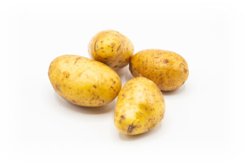 Kartoffeln Sorte Annabelle festkochend