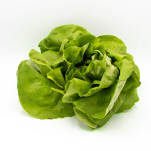 Kopfsalat