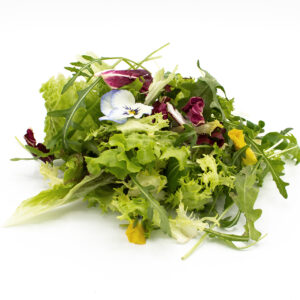Salat mix