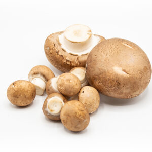 Steinchampignons