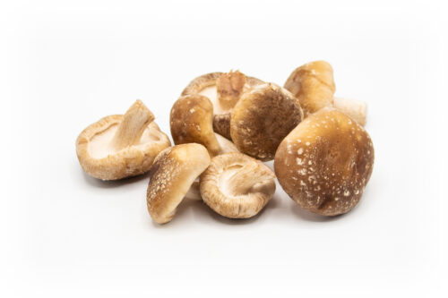 Shiitake