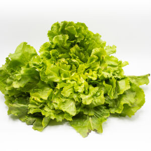 Endiviensalat