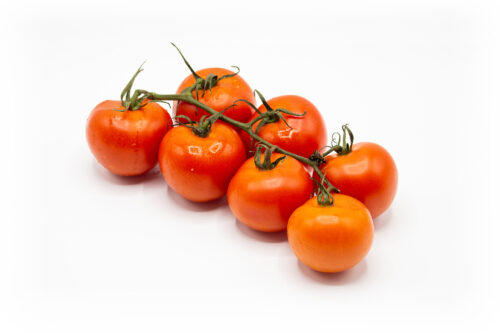 StrauchTomaten